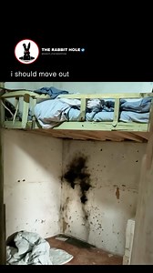 . . #conspiracy #conspiracytheory #conspiracytheories #conspiracypalette #conspiracyfacts #conspiracymemes #conspiracytruth | The Rabbit Hole