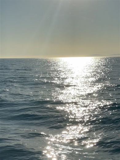 Visit Newport Beach on Reels