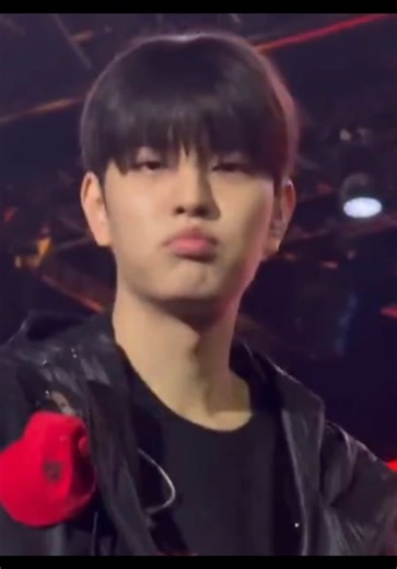 🐶♥️ #seungmin #straykids #skzstay