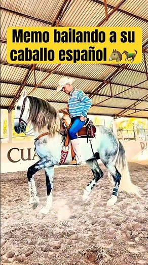 Cuadra Memo La Liebre, Union De San Antonio Jalisco 🇲🇽