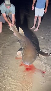 The UGLIEST shark in the gulf 😂😂 | All American Shark Fishing