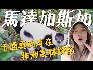 馬達加斯加！出發夢幻島～勇闖非洲叢林，卡通人物現身？｜環球之旅 Madagascar