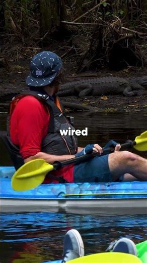 Kayaker Eaten Alive by Crocodile