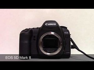 Canon EOS 5D Mark Ⅱ シャッター・連写音 sound of a shutter
