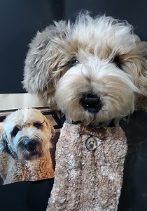 Custom Dog Golf Club Cover: Personalized Pet Portrait Gift - Etsy