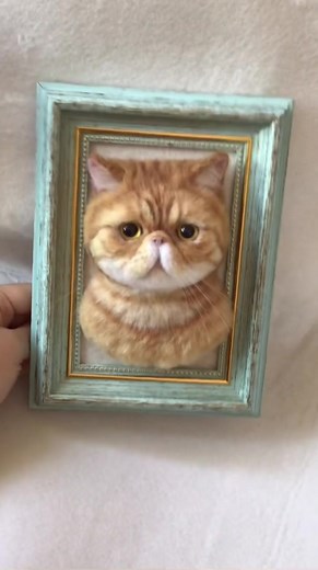 Adorable Cat Portrait Collection