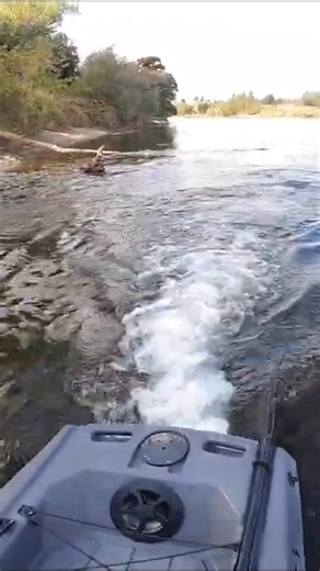 FluxJet Kayaks on Instagram: "Shallow water. Solid log. Still no problem ⚡ The FluxJet Kayak’s electric jet drive clears it with ease — no exposed prop to snag, bend, or break. This is what makes FluxJet different. Built for the real world — from rivers to backwaters."