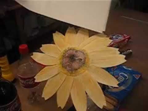 Sunflower Video 2