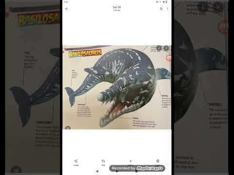 BasiloSaurus Sound Effects (Happy New Year) 🐳🔊 🎊 