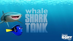 Meet Destiny... our new (whale) Shark friend! Finding Dory splashes into theatres Friday. | Shark Tank