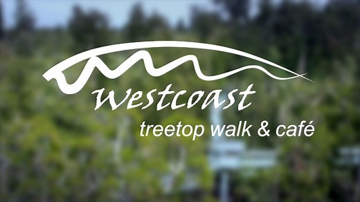 West Coast Treetop Walk, New Zealand