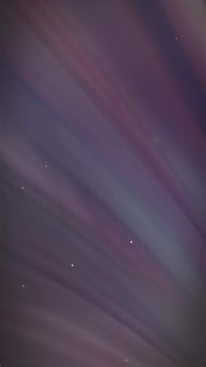 Nhân Vật Nami Và Robin Trong One Piece