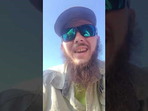 Quick tip of the day: how to test trailer brake for function