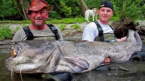 44K views · 350 reactions | Love time am Grande Fiume Po – Black Cat meets Big Fish! Das Liebesspiel hat begonnen! Trotz sinkendem Wasserstand konnten wir den River so richtig rocken. Welsboot am Grande Fiume Po. Black Cat meets Big Fish! Wallerangeln - genau so soll´s laufen... | Black Cat Fishing Deutschland | Facebook