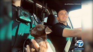 Paw patrol: 2 police officers rescue tiny puppy in