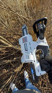 8” pruning chainsaw for $68 what are they thinking! This a crazy deal available until December 24th. Comment “link” and I will dm you the deal. Great for anyone who does yard work! @harttoolsusa #doitwithhart #yardwork #pruning #gift #diy | Tools in Action