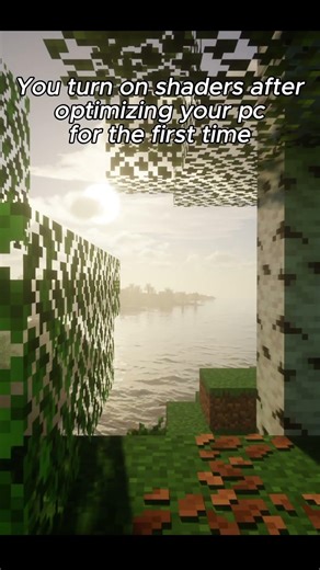 Seeing Minecraft like this for the first time is a core memory #debloat #minecraft #optimization