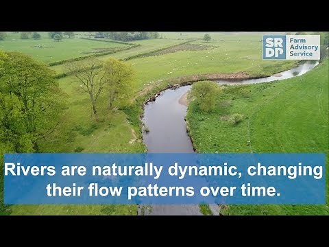 Fighting bank erosion with willow spiling