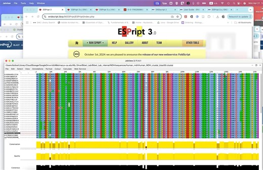 Brianna Bibel on Instagram: "If you’re looking to create and/or visualize (interactively or for figures) protein alignments, here are a few free resources I recommend. * For creating alignments * Clustal omega: https://www.ebi.ac.uk/jdispatcher/msa/clustalo * Which you can access through the “Tools -> Align” button in UniProt: https://www.uniprot.org/ * For finding sequences to align: * BLASTp (Which you can access through the “Tools -> BLAST” button in UniProt or from BLAST directly): https://b
