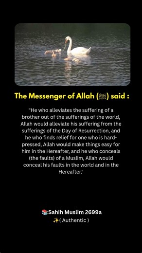 Want Allah to Alleviate your Sufferings?🫴🏼This is for you.