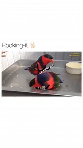 Hilarious Ted on Reels