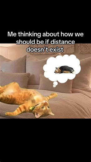 Navigating Long-Distance Relationships Effectively