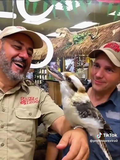 Scariest Bird Sounds: Top Wild Animal Calls That Terrify