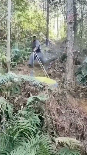 Using a ramp to transport goods can save effort.