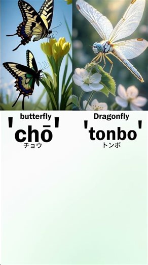 Names of insects in Japanese language. #japaneselessons