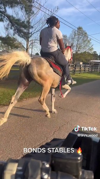BONDS STABLES 🐎❤️ #standardbred#horseshow#trailride#gaitedhorses🐎 #pacinghorse