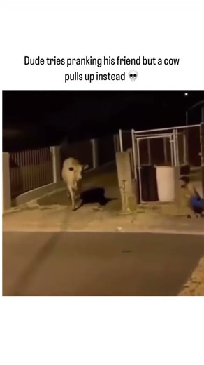 Funny video cow pranking😂🤣.#funnyvideo#funny#viral #prank#youtube