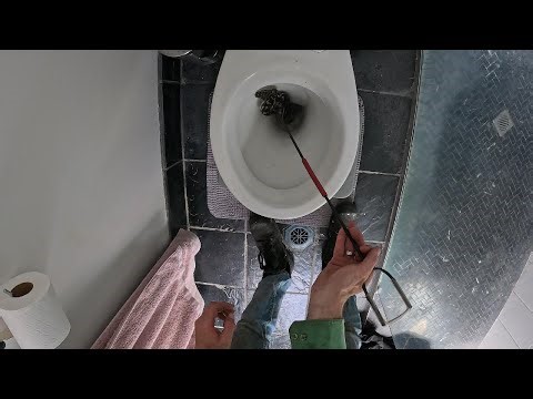 Removing an Australian Python from a Toilet.