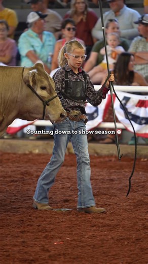 Counting down the days to show season! 🌾🐄 From time in the barn to moments in the ring, exhibitors are already putting in the work. We can’t wait to see these familiar sights back at the State Fair of West Virginia! 🗓️ August 13 – 22, 2026 📍 Lewisburg, WV 🎡 statefairofwv.com #sfwv | State Fair of West Virginia