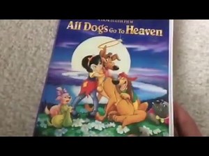 My Entire VHS Collection!