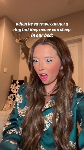 New King Mattress from Lull Bed: No Dogs Allowed in Bed