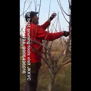 Pruning Tools at lowest rate at JK Krishi Vikas (7006020878, 9796589299) | Kashmir Horticulture