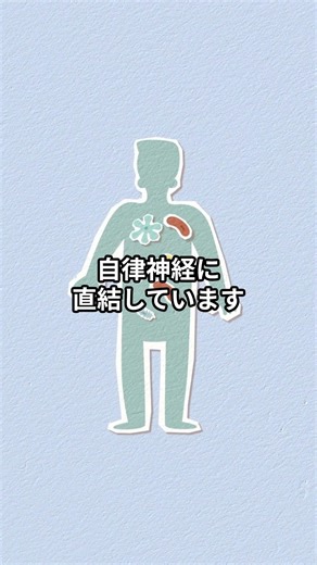 首をゆるめるということ #アルファネス2 #アルファネス #自律神経を整える #自律神経 #セロトニン #nk細胞 #副交感神経