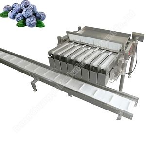 [Hot Item] Fill by Weight Packing Machine Blueberries Machine Packing Blueberry Blueberry Fruit Packing Machine Blueberry Weight Machine Blueberry Packing Machine
