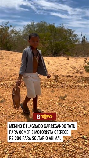 BNews on Instagram: "Um encontro inesperado entre um motorista e um menino no meio de uma estrada viralizou nas redes sociais nos últimos dias. O garoto carregava um tatu-peba nas mãos quando foi abordado pelo homem, que perguntou o que ele faria com o animal. O menino explicou que enfrentava dificuldades financeiras e que o tatu seria usado como alimento, já que vive apenas com a irmã após a morte dos pais. Comovido com a história, o motorista ofereceu R$ 300 para que o animal fosse solto. O ga