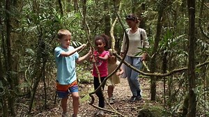 Rainforest Walk - ABC Kids