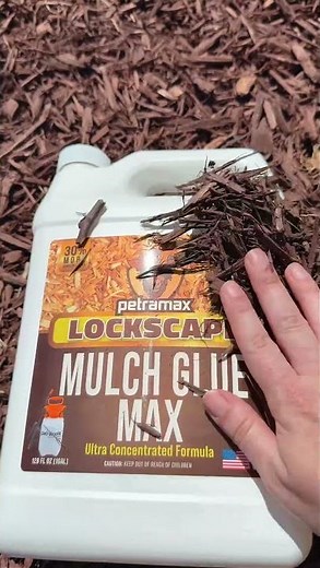 Why Landscape Edging Alone Won't Keep Mulch in Place (Easy DIY Solution)
