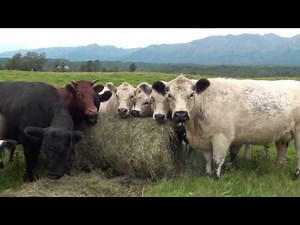 Alaska Grown- Grasses