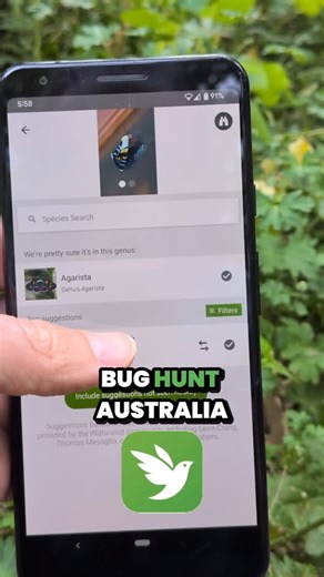 Bugs in My Backyard Week is here! 🌼 This week we’re building a springtime snapshot of insects across Australia — from beetles in the bark chips to butterflies cruising through your local park. Every photo uploaded to Bug Hunt Australia on iNaturalist helps scientists understand the health of our native species and track any invasive ones. 🐝 Take the kids to the park, explore, and see what you can find! 👉 Grab the printable Scavenger Hunt sheet for a fun bug-spotting challenge: https://bughunt