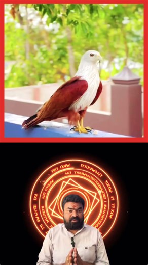 నిజమైన భక్తికి నిదర్శనం🙏 #GarudaPakshi #DivineBlessings#spiritualpower#viralshorts2026 #subscribe🙏