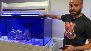 26K views · 743 reactions | Before this module my lights and pumps...