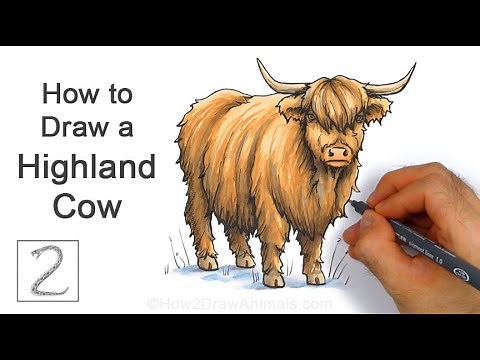 How to Draw a Highland Cow | Colored Marker Tutorial