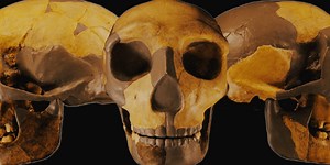 Scientists discover ancient 300,000-year-old skull that has 'never been seen before'