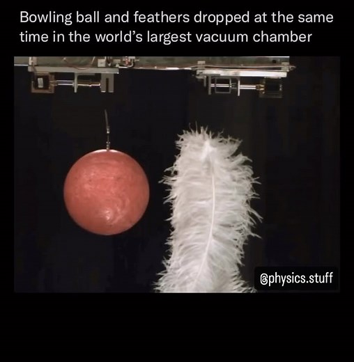 Physics Stuff on Instagram: "Physicist Brian Cox shows us a 🎳 Bowling ball and a feather falling at the same rate in a vacuum chamber. In order to see the true nature of gravity effecting the feathers, you need to remove all the air in the room. By employing high-speed cameras to capture every fraction of a second, there is no denying the result. (Via: @bbc / Brian Cox) #physics #science #sciencememe #sciencememes #physicsmemes #neildegrassetyson #einstein #vacuum #physicsfun #sciencefun (Repos