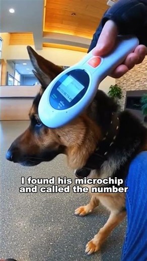 I Had Seconds To Save Him... And I Got It All On Camera