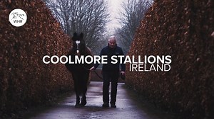 Champions everywhere you look 👀 Go behind the scenes at Coolmore Stud in Ireland and meet some of the world's greatest stallions 🐎 | World Horse Racing